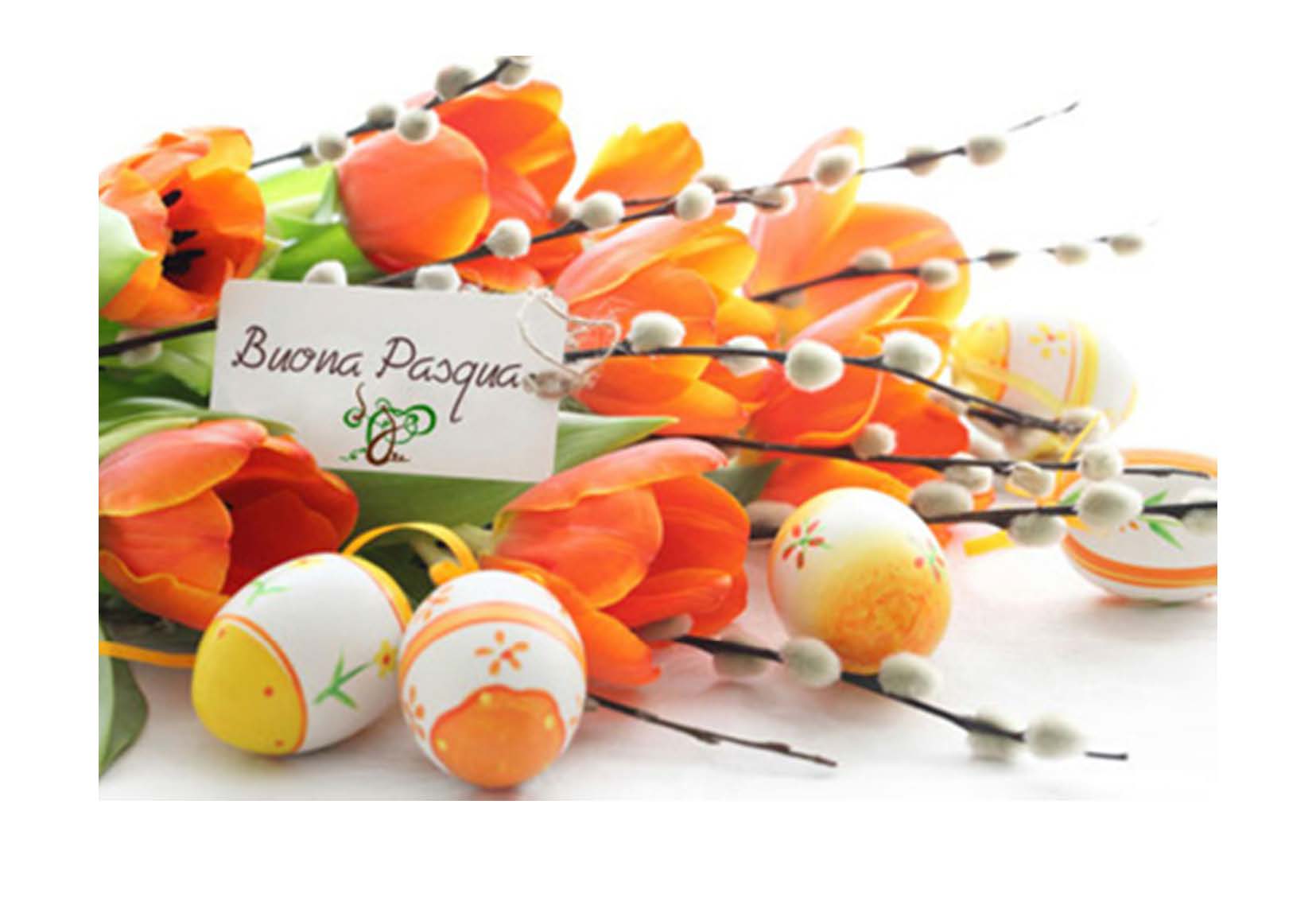 Al momento stai visualizzando PASQUA 2014. Gli Auguri dell’ASPAT